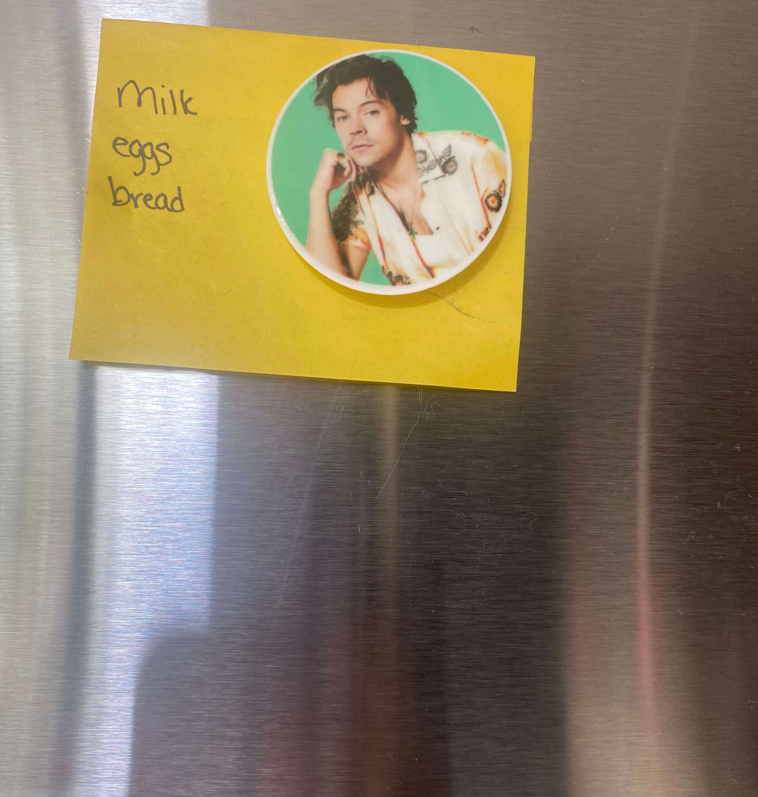 Popstar; Musician Magnets