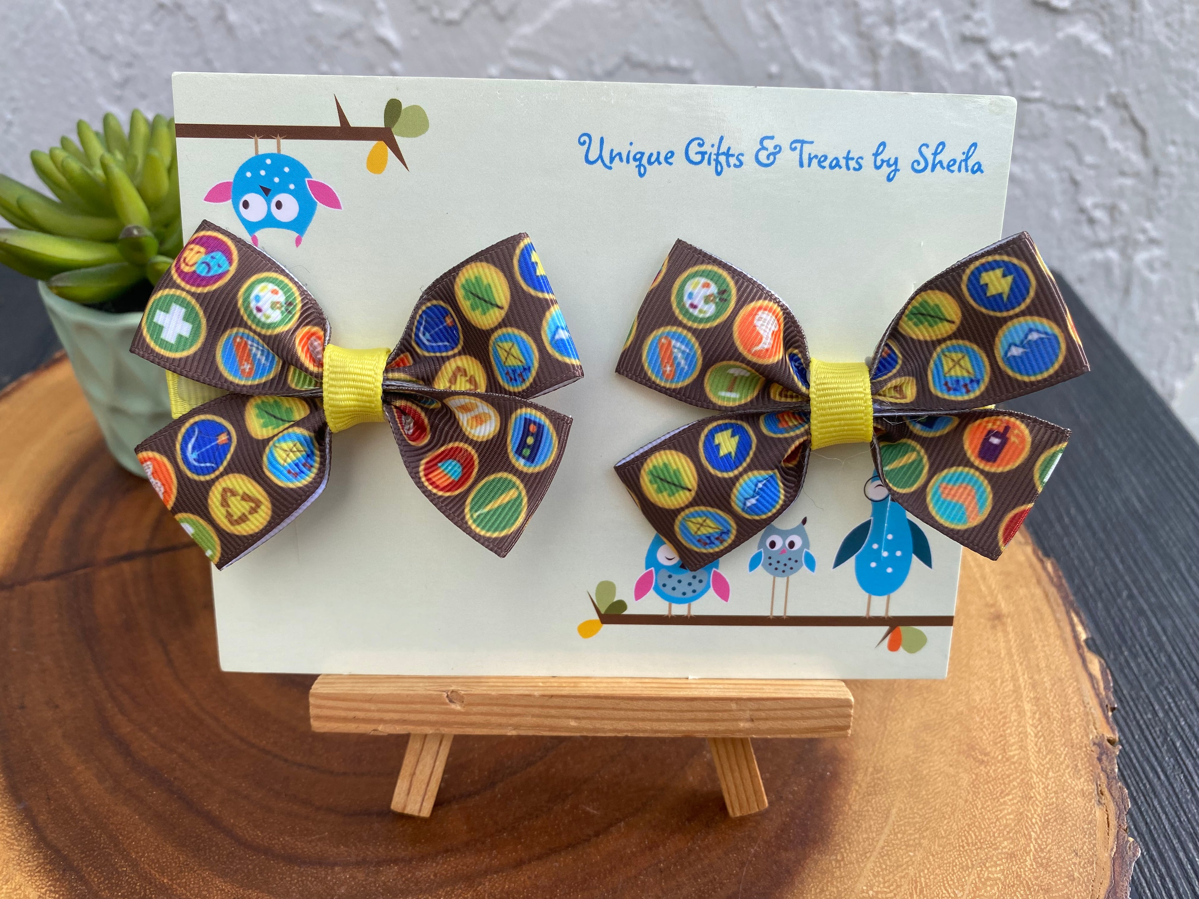 Disney Up; Wilderness Explorer Hairbows