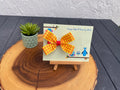 Toy Story; Woody Hairbow