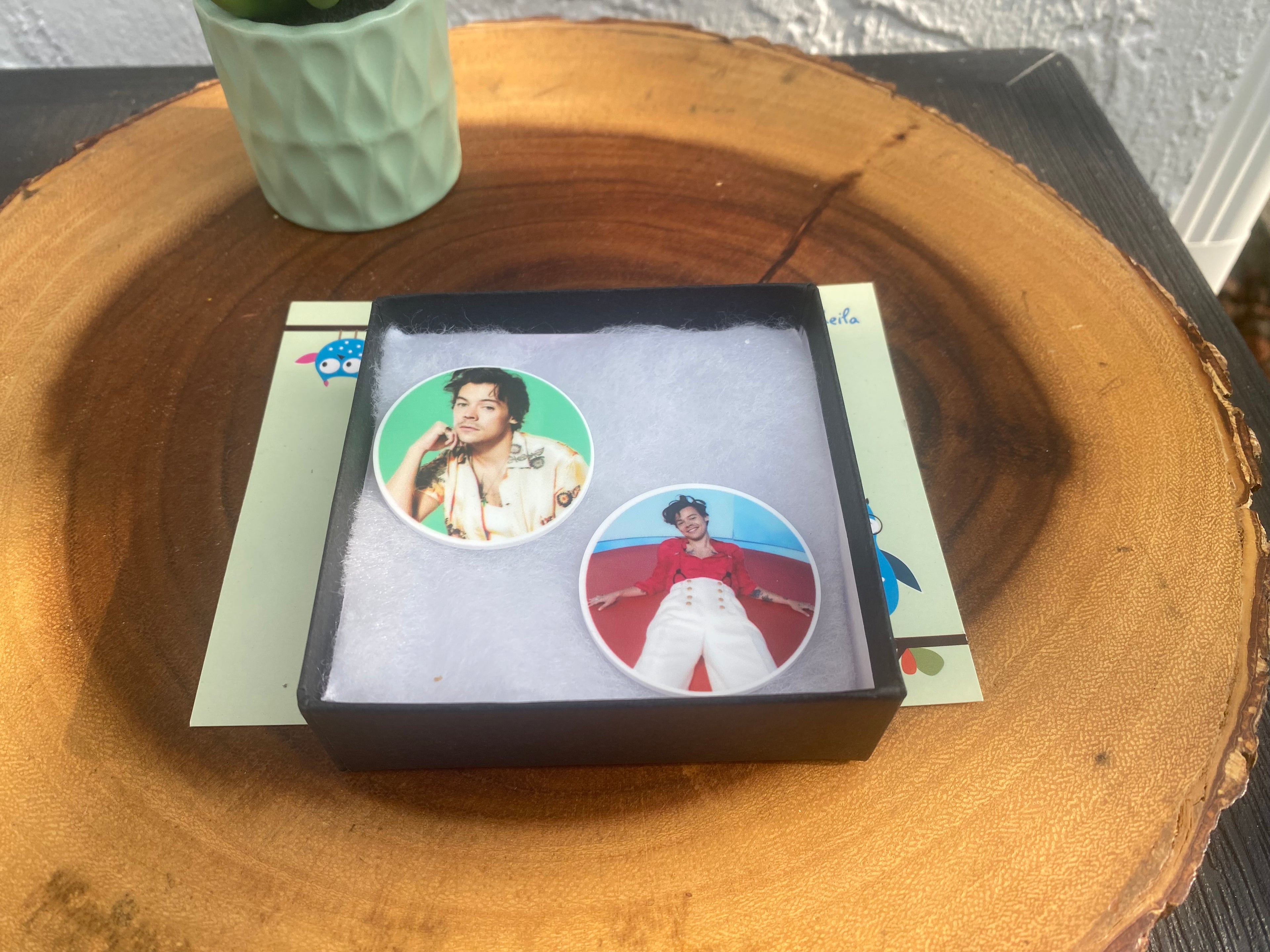 Popstar; Musician Magnets