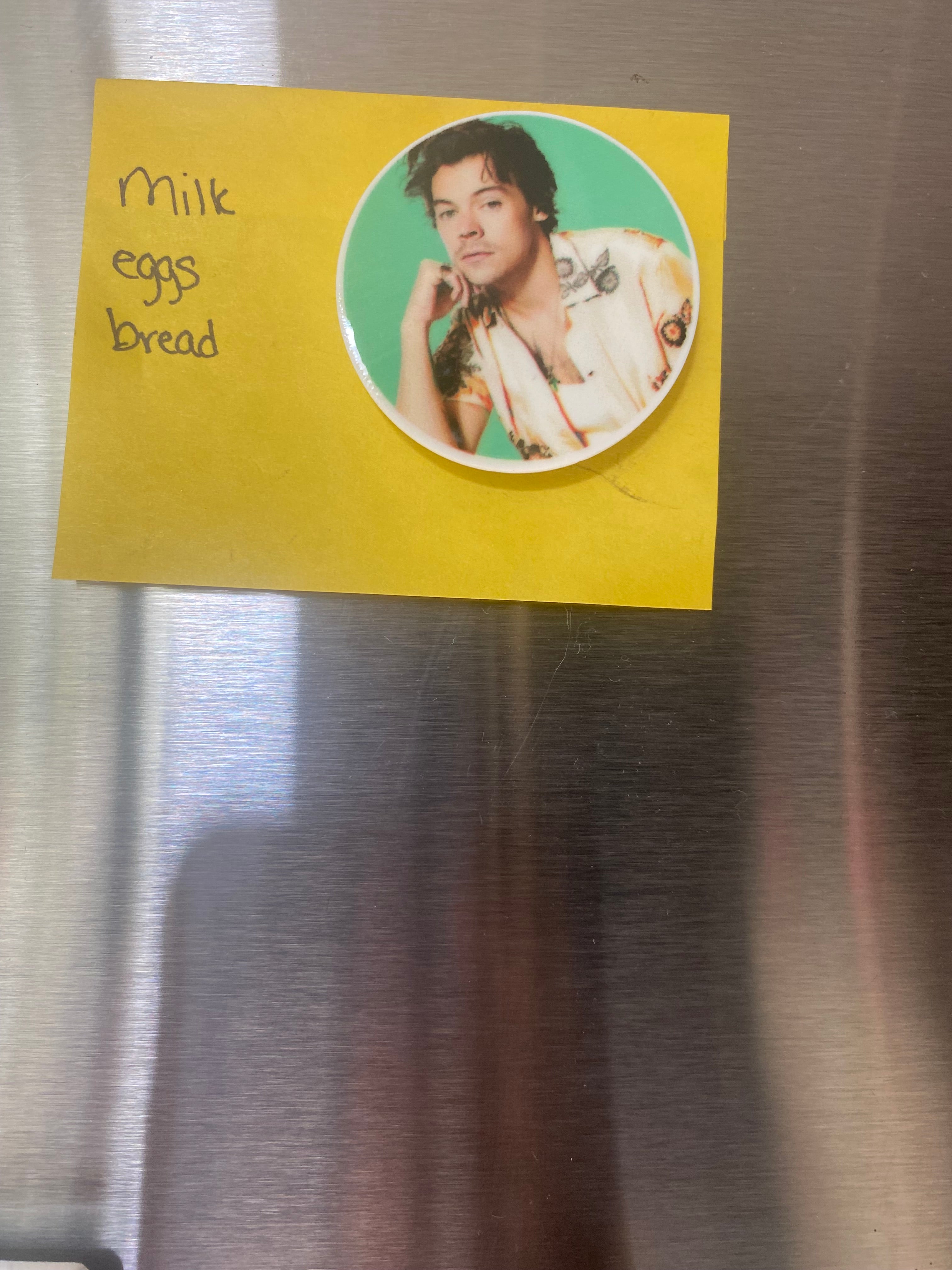 Popstar; Musician Magnets