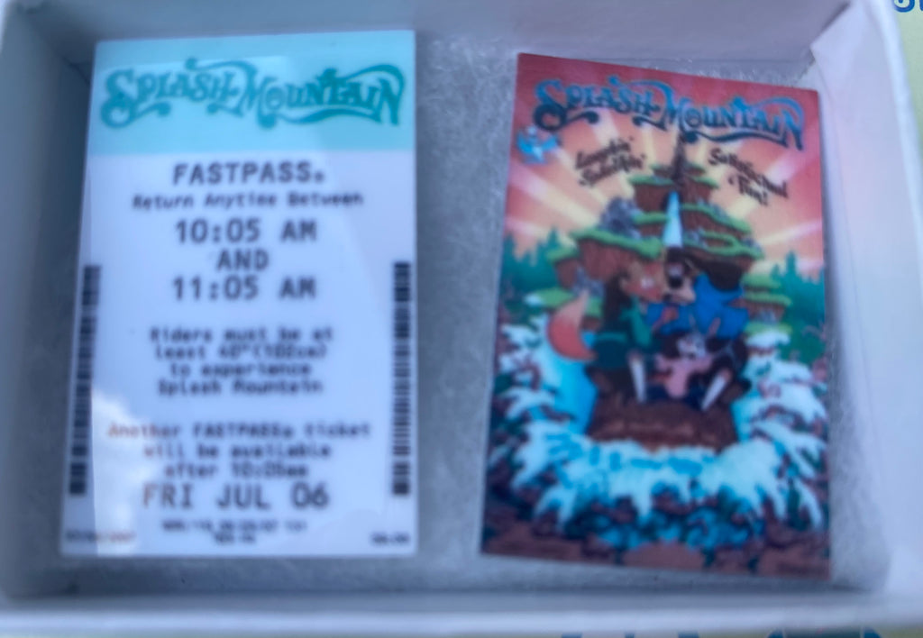 Splash Mountain Poster and Fast Pass Magnets