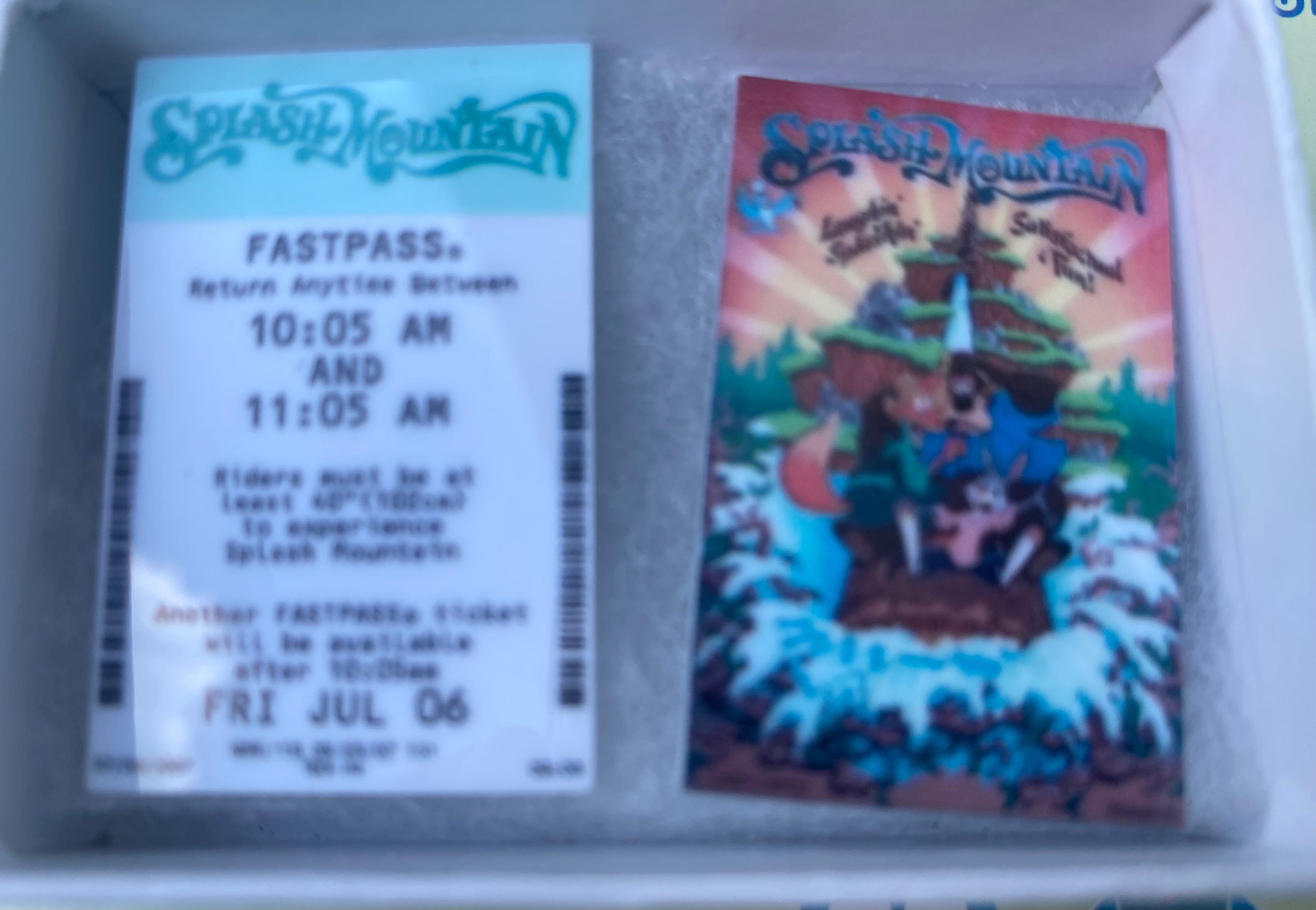 Splash Mountain Poster and Fast Pass Magnets