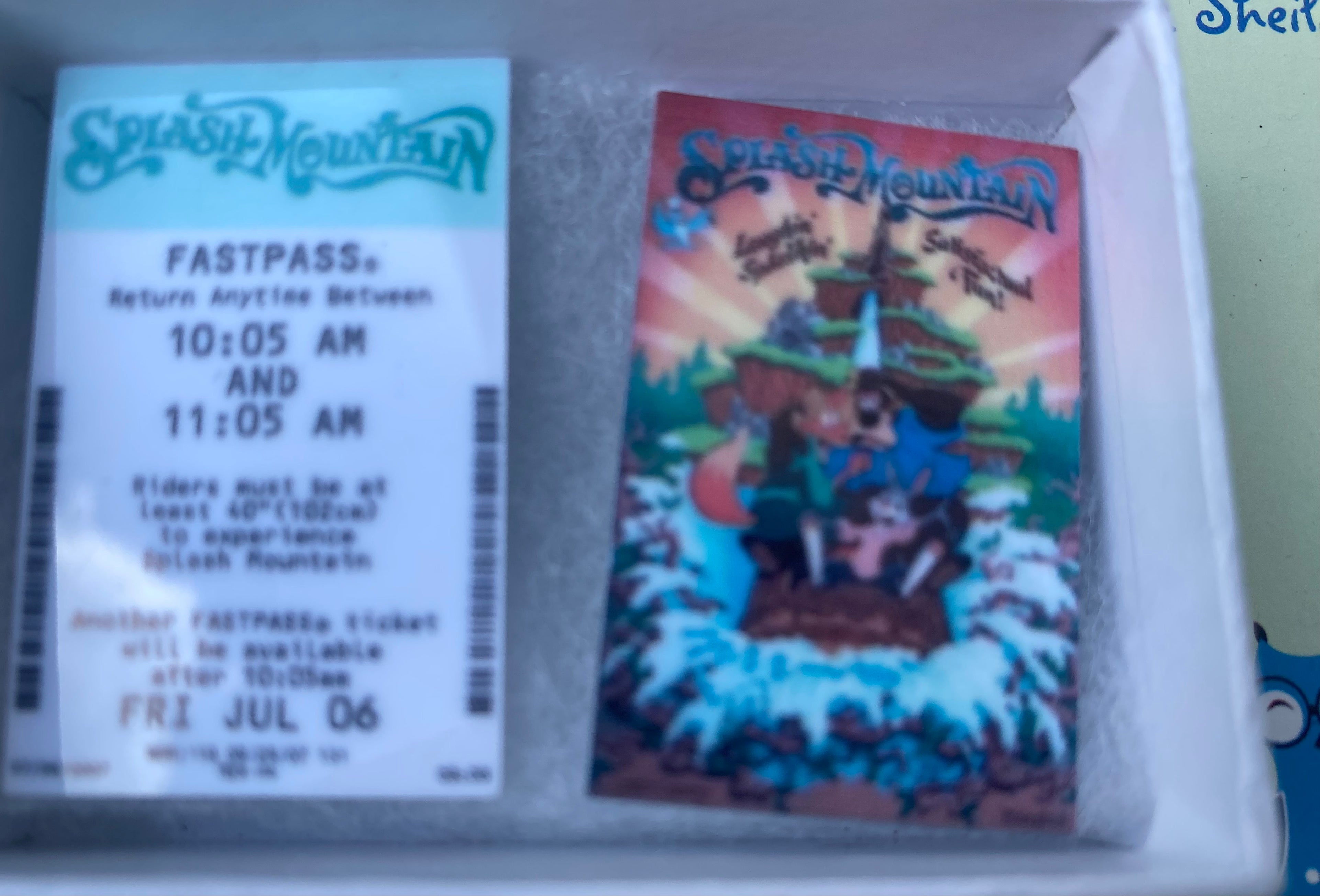 Splash Mountain Poster and Fast Pass Magnets