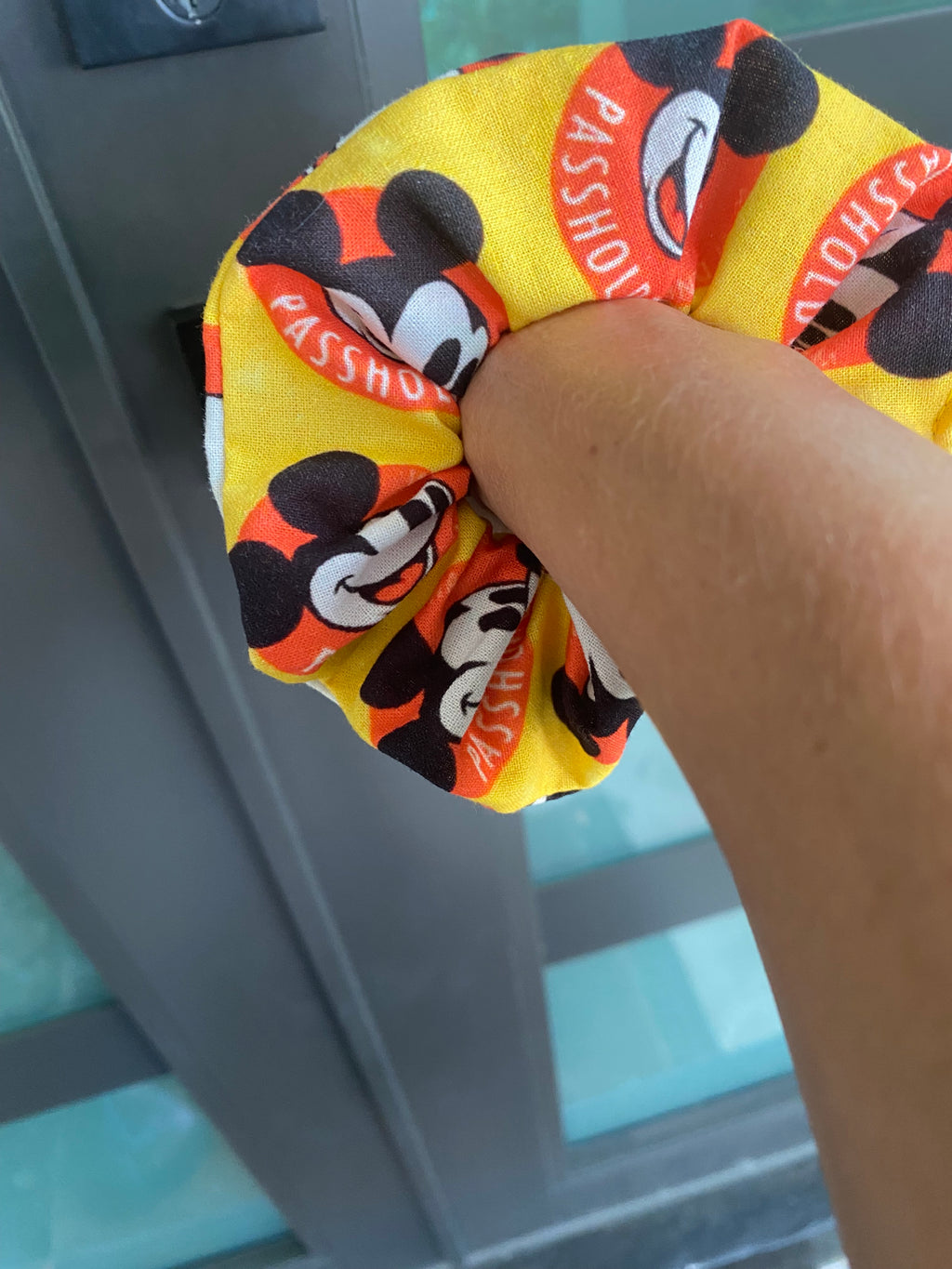 Disney Passholder Magnet Scrunchie