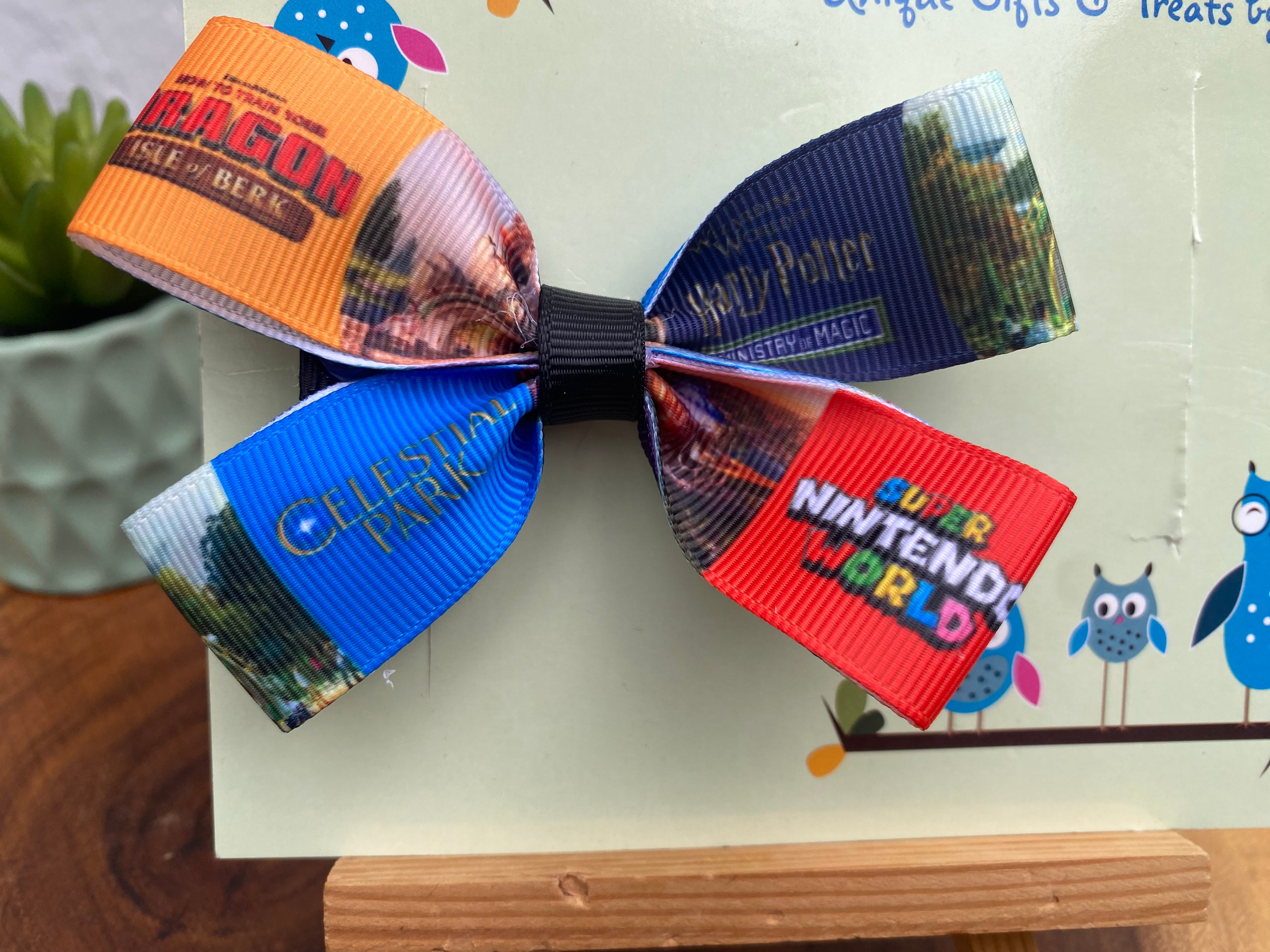 Orlando Theme Park; Immersive Lands Hairbow