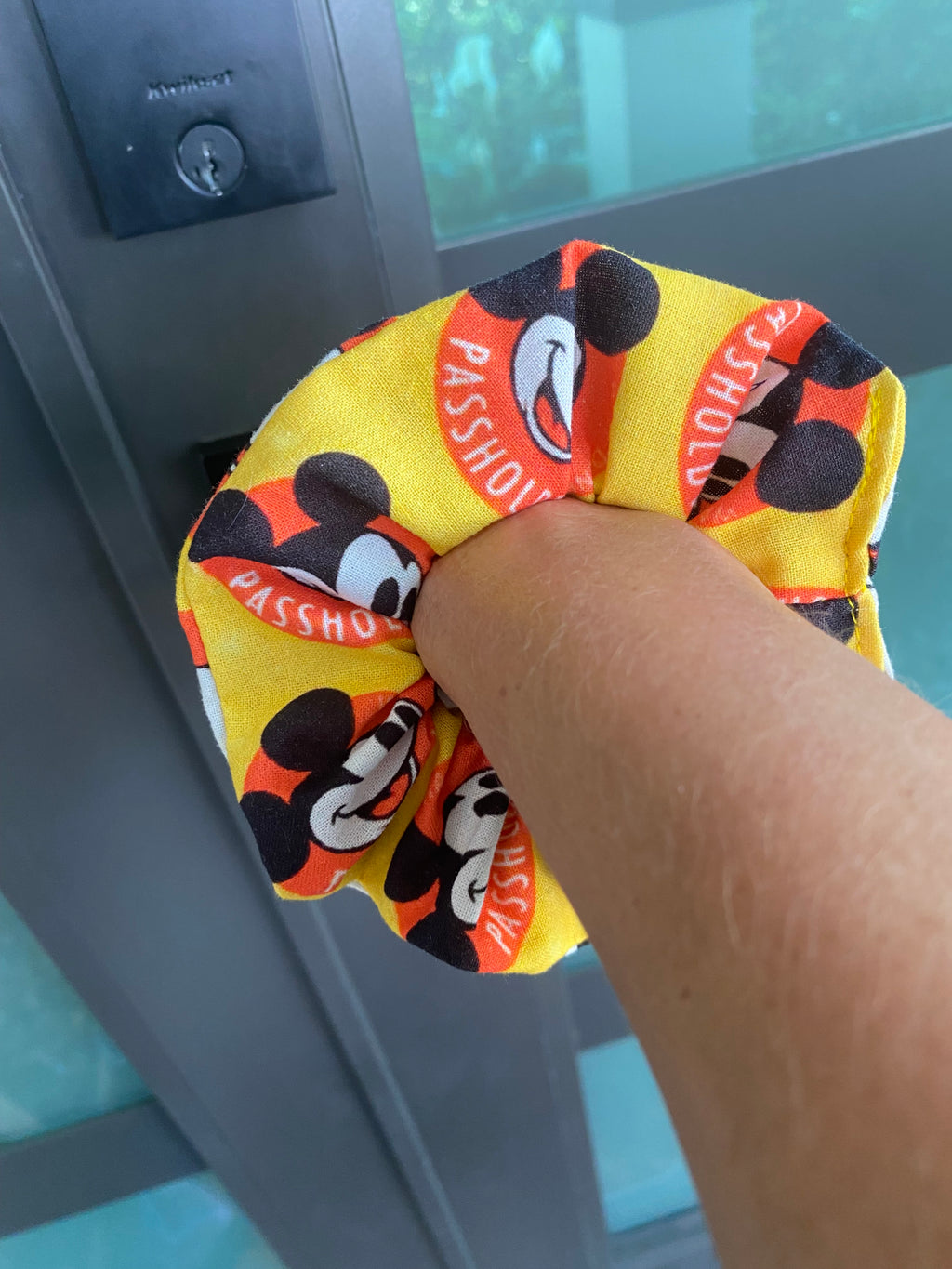 Disney Passholder Magnet Scrunchie