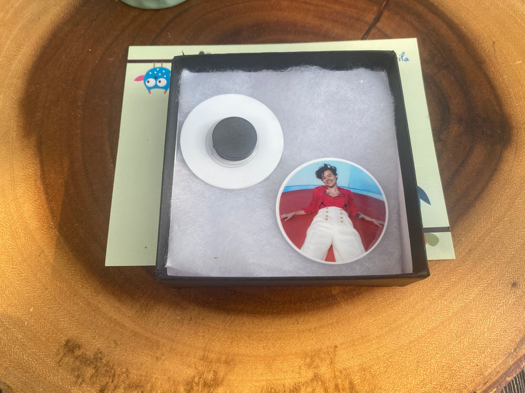 Popstar; Musician Magnets