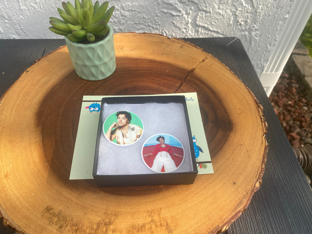 Popstar; Musician Magnets