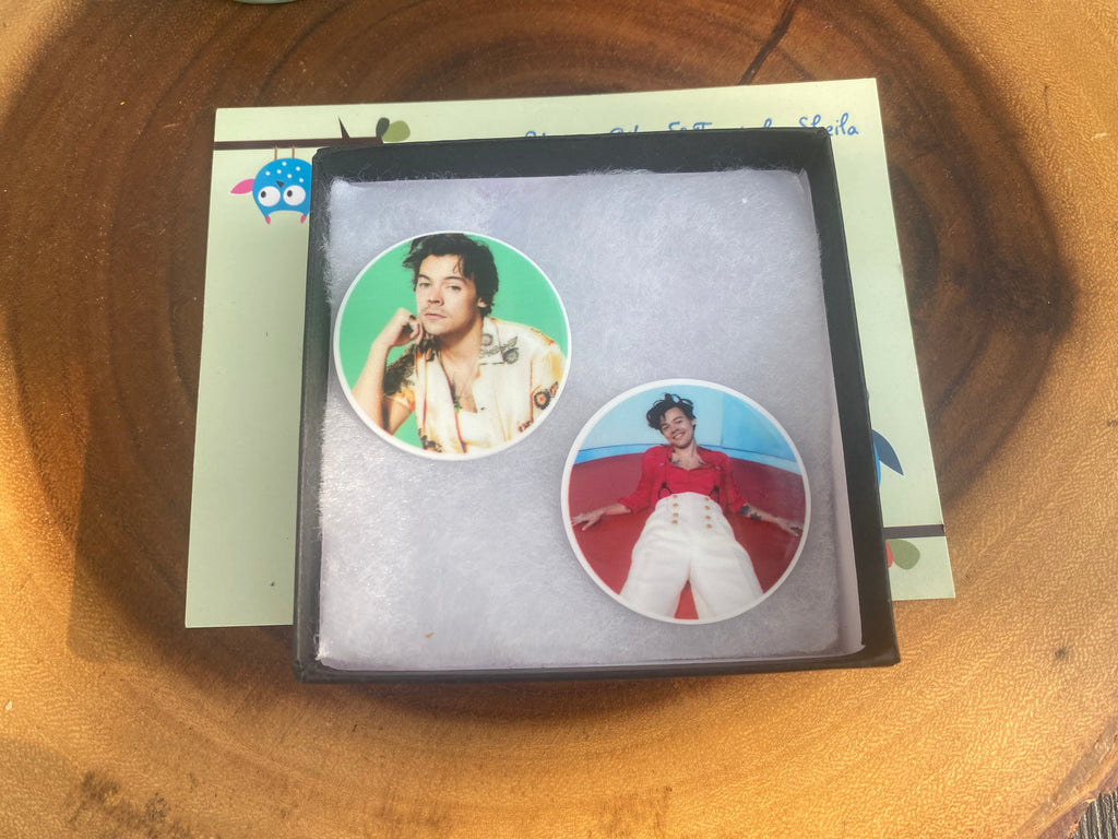 Popstar; Musician Magnets