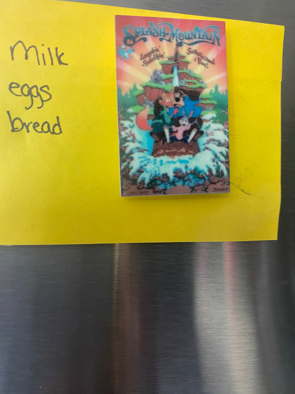 Splash Mountain Poster and Fast Pass Magnets