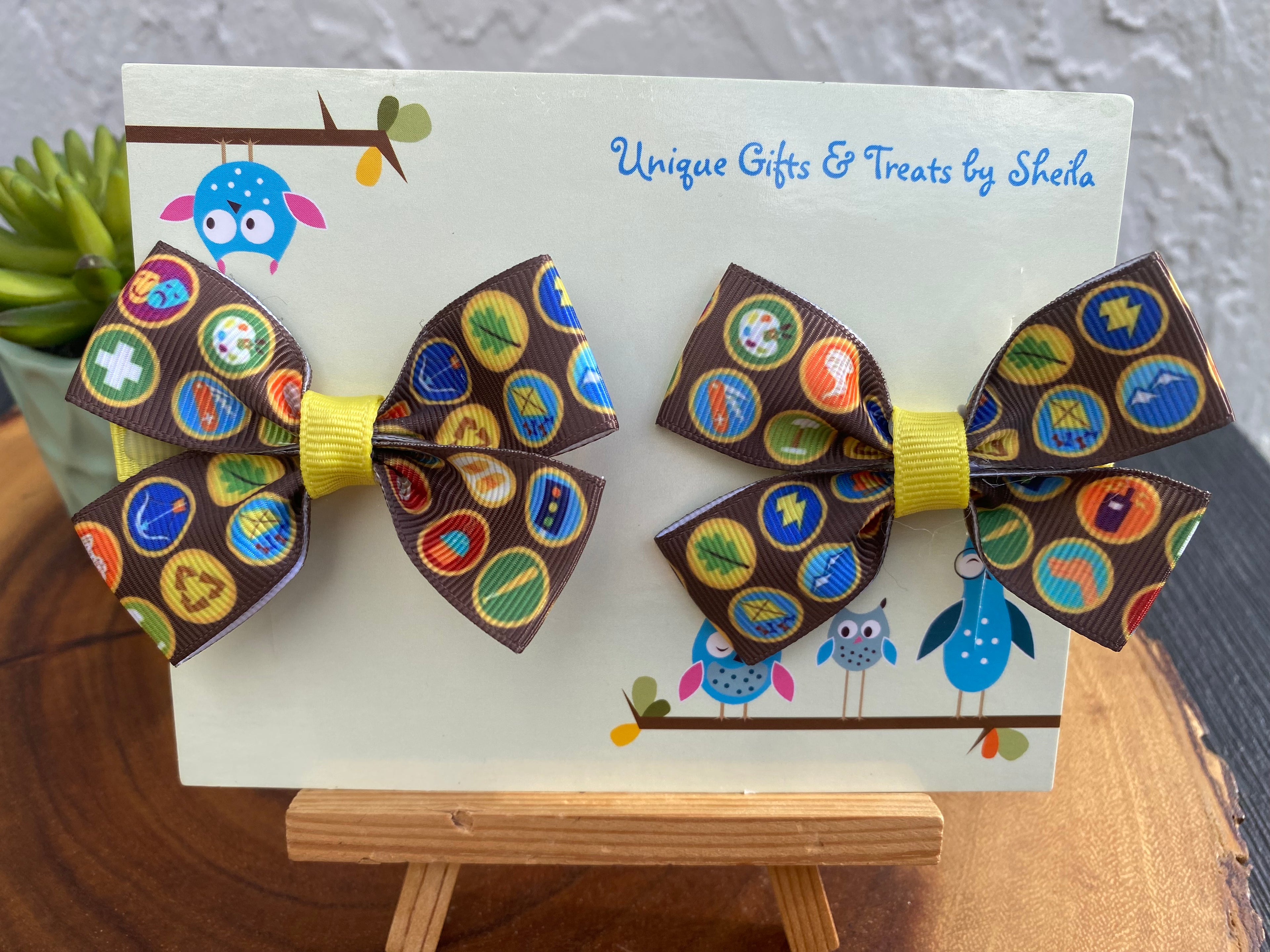 Disney Up; Wilderness Explorer Hairbows