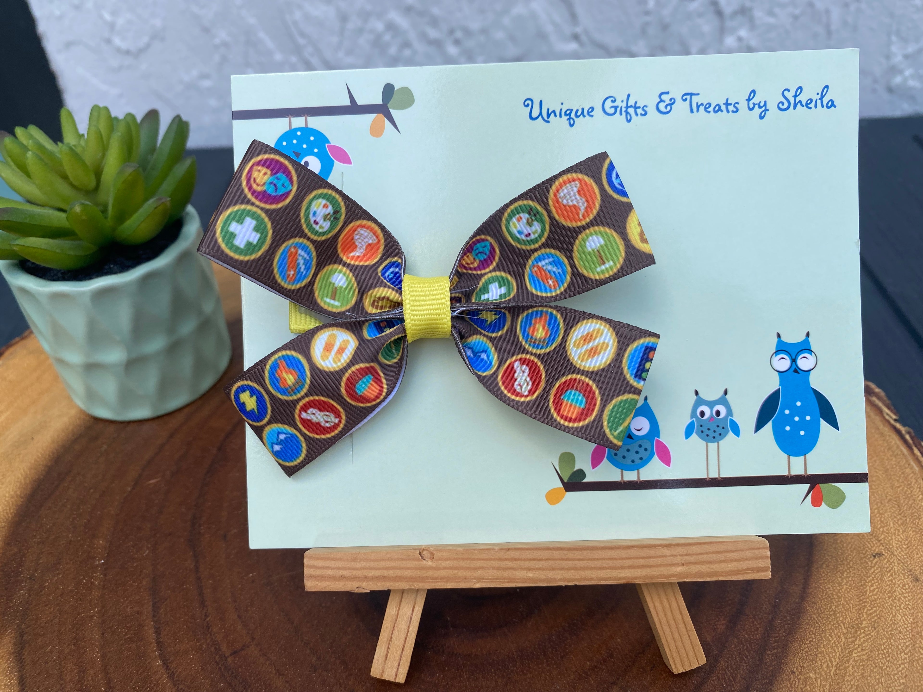 Disney Up; Wilderness Explorer Badge Hairbow
