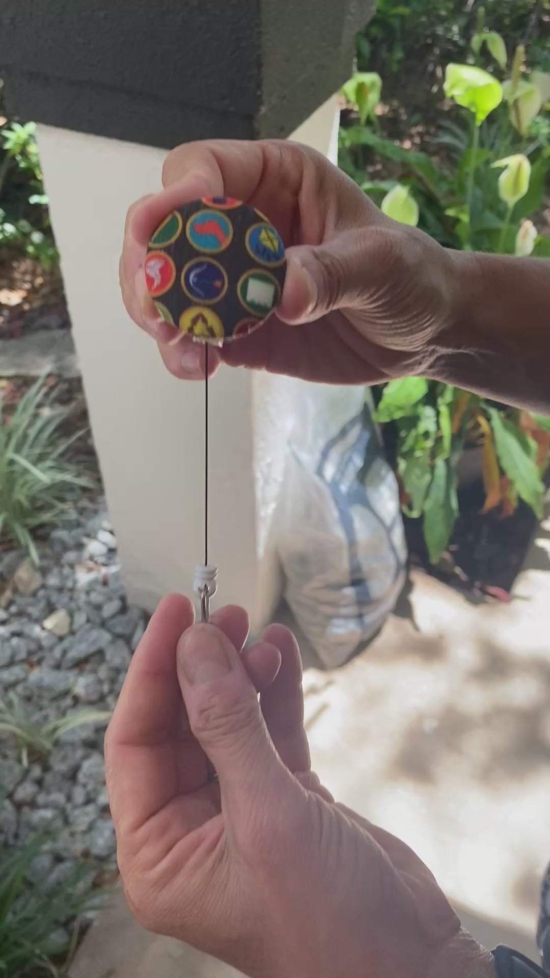 Disne Up Badge Reel